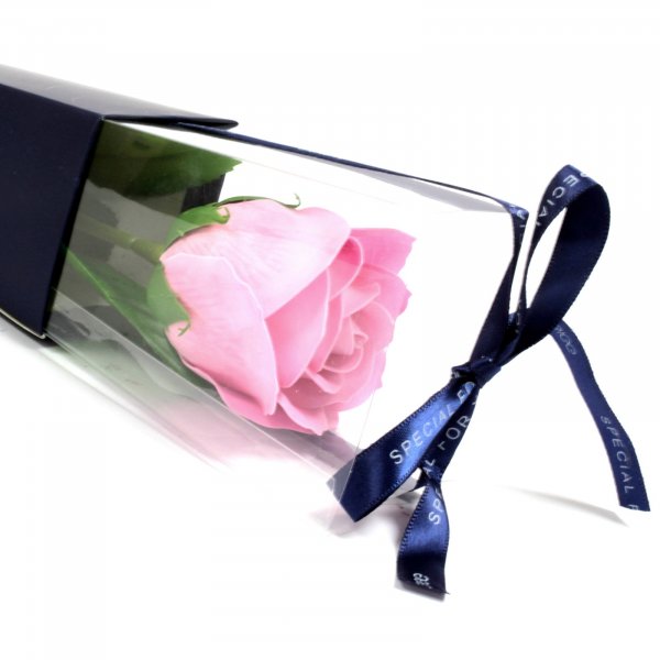 (image for) Single Rose - Pink Rose