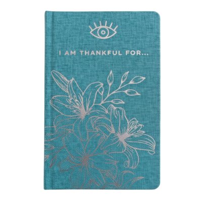 (image for) Blue Gratitude Journal with Silver Lining - 120 pages - I am Thankful For