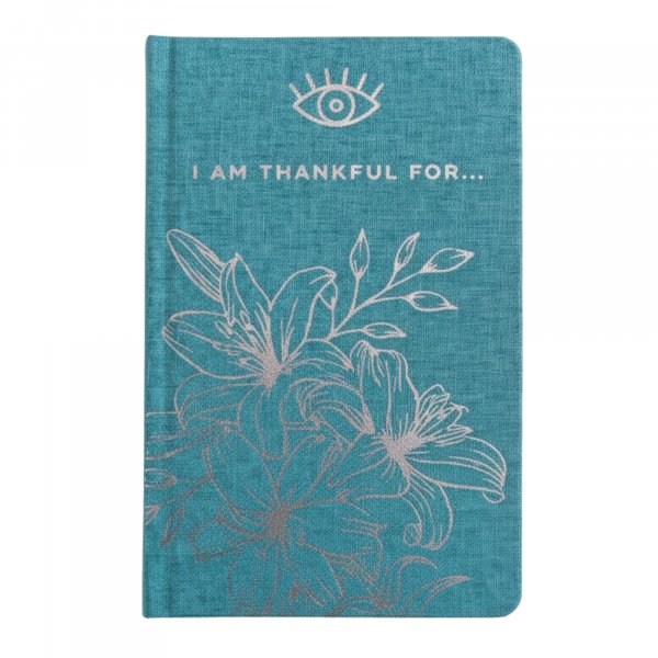 (image for) Blue Gratitude Journal with Silver Lining - 120 pages - I am Thankful For