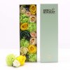 (image for) Long Box - Spring Celibrations - Yellow & Greens
