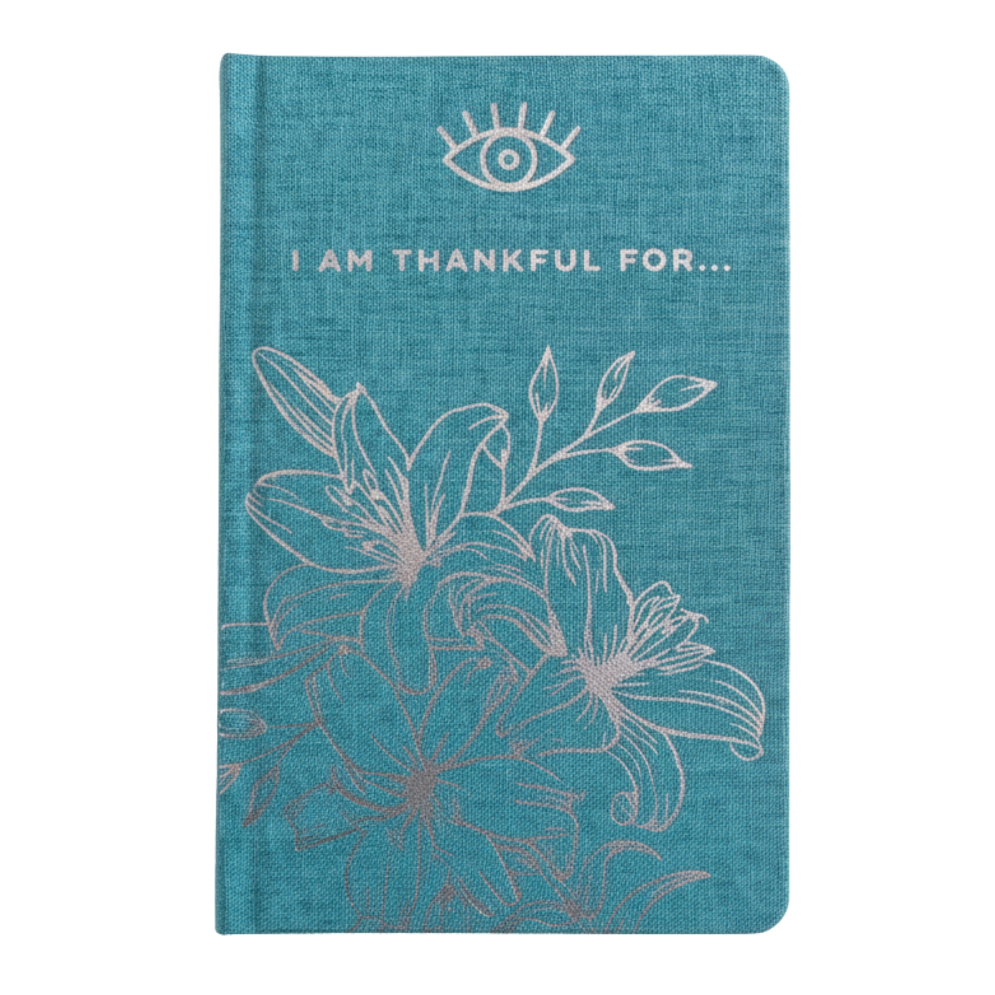 (image for) Blue Gratitude Journal with Silver Lining - 120 pages - I am Thankful For